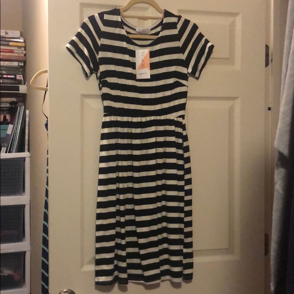 Black white pattern honey and lace xs Windsor NWT